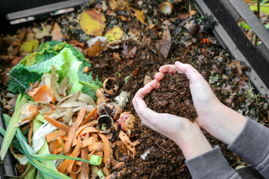 A beginner’s guide to making compost  