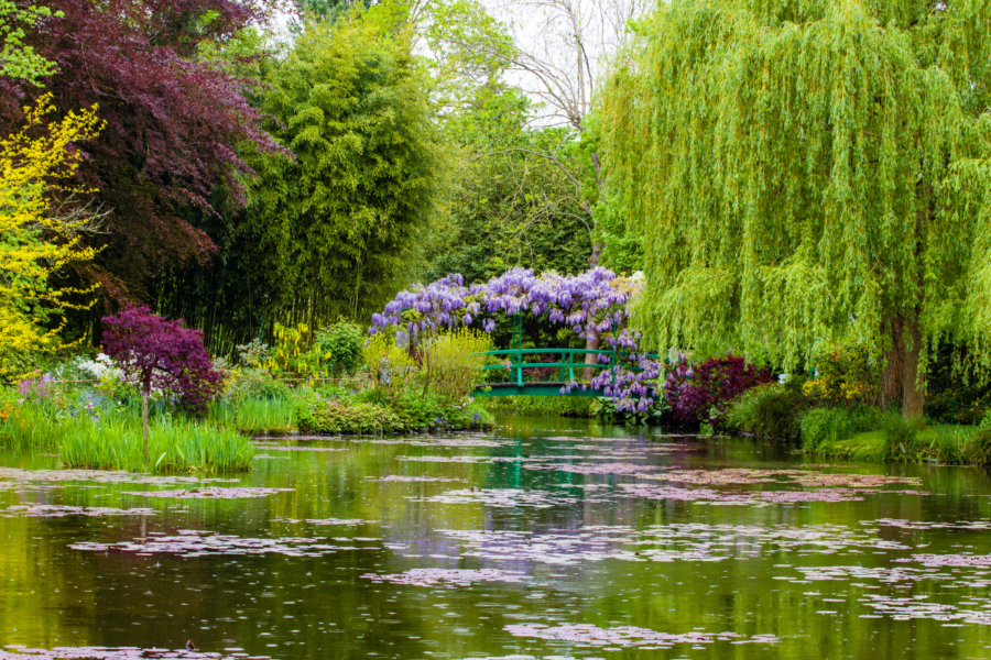 Explore Monet’s France with Paula McWaters | Amateur Gardening Promotion