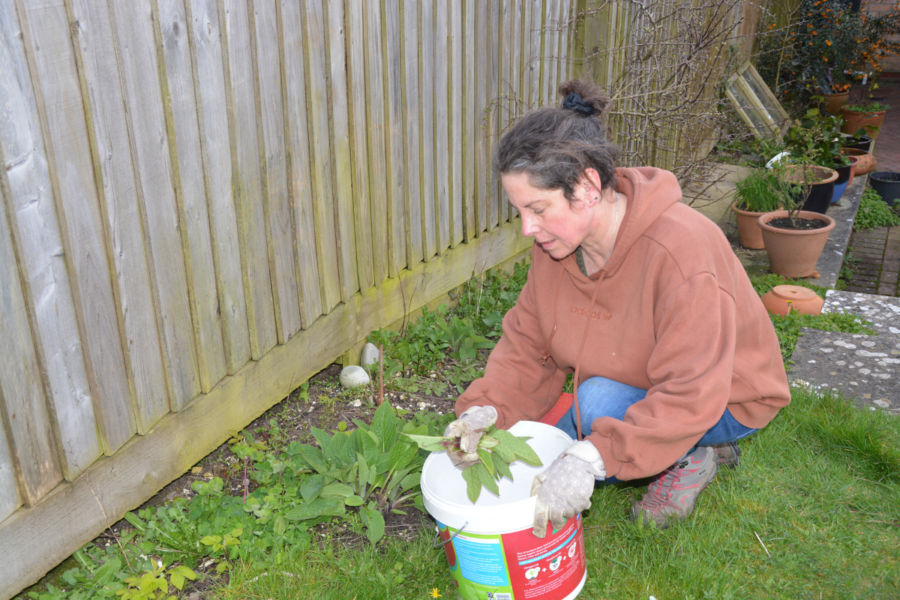 Making fertiliser for free