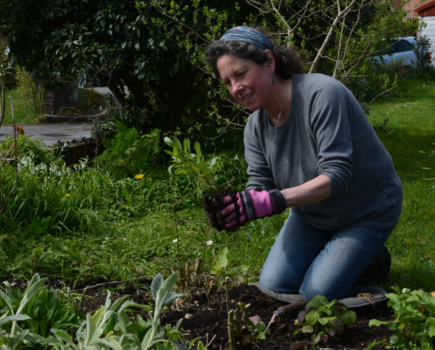 How good plant care saves us money