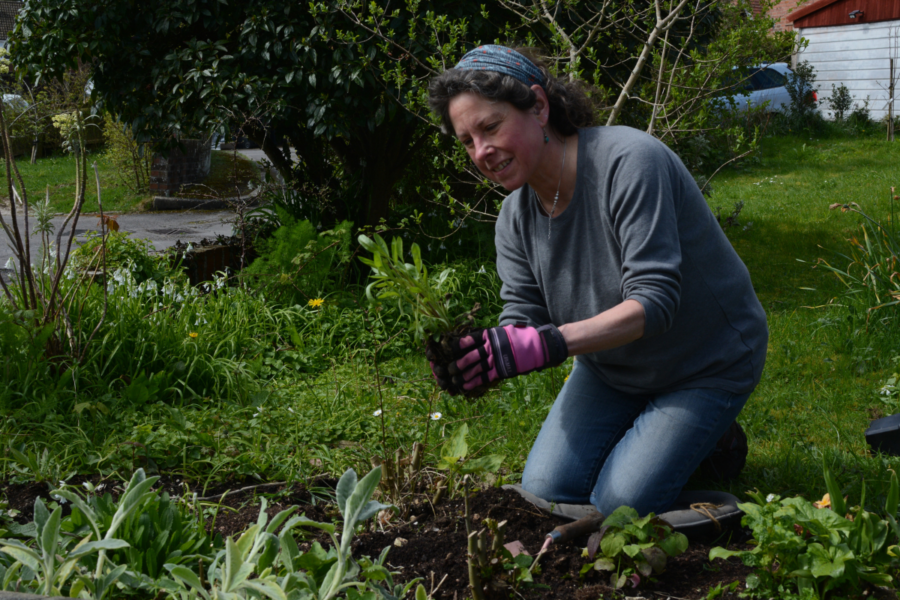 How good plant care saves us money