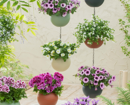 Five beautiful containers for your garden