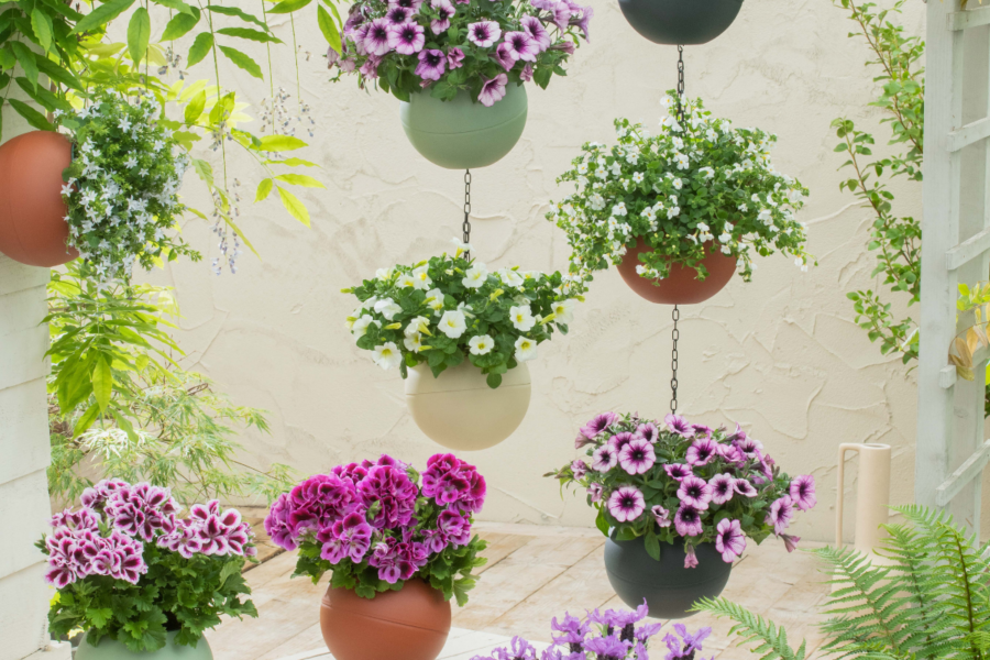 Five beautiful containers for your garden