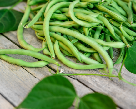 How to grow more beans with generous cropping