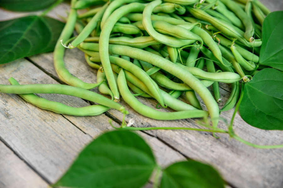 How to grow more beans with generous cropping