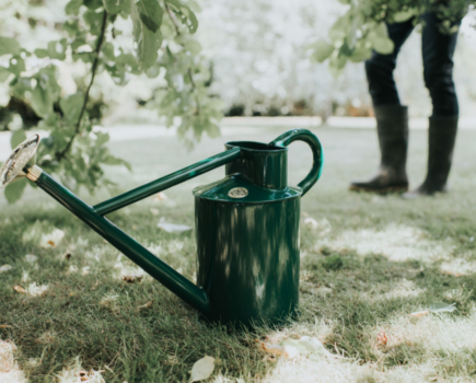 How to take the strain out of watering