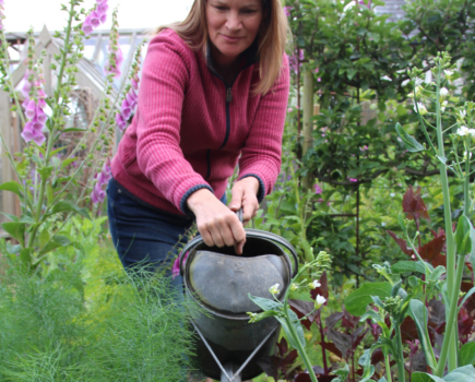 How to water crops wisely and look after summer strawberries