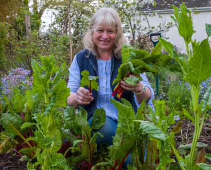 How to have a delicious crop of leaves and berries