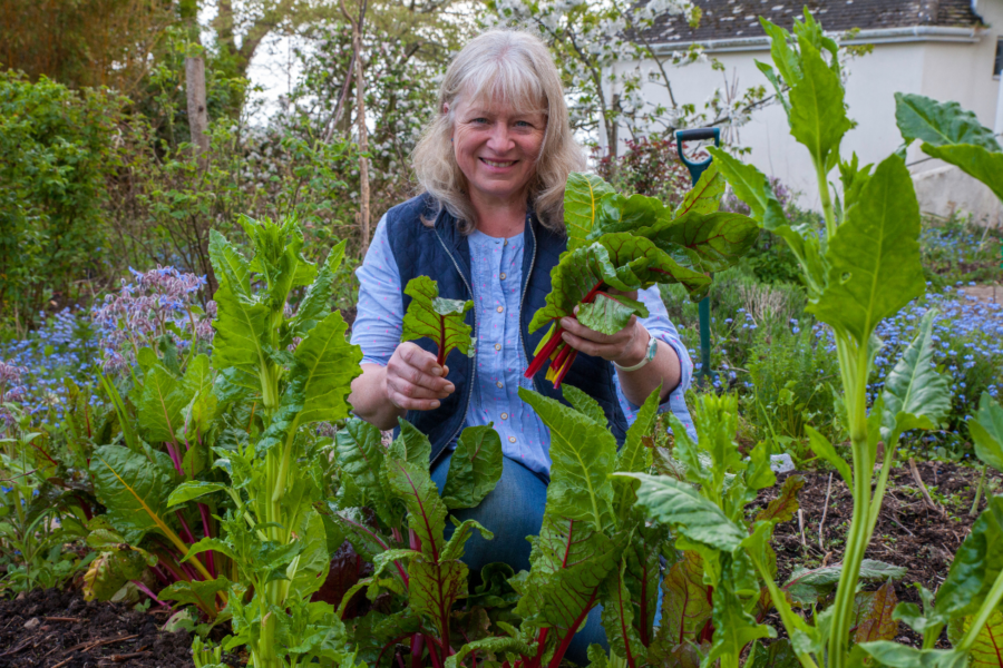 How to have a delicious crop of leaves and berries