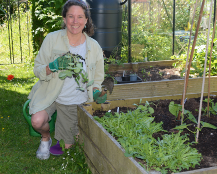 A busy summer garden