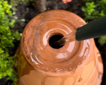 How to make an irrigation olla