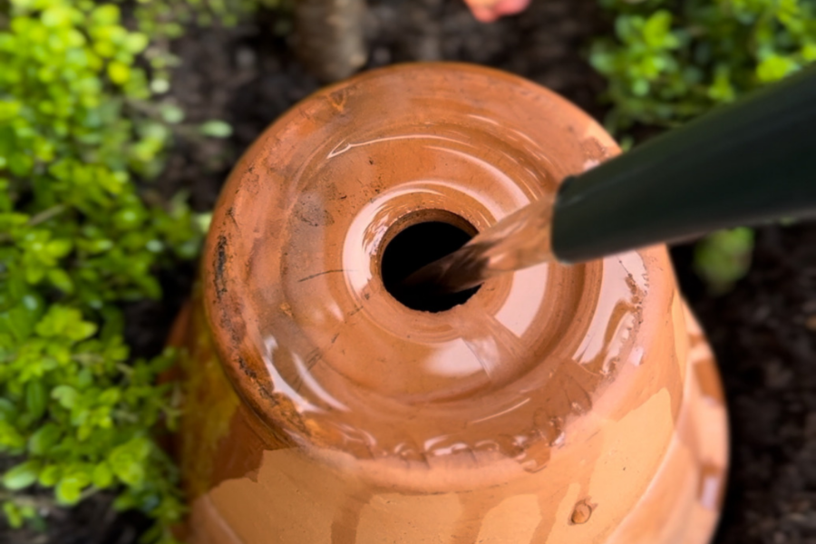 How to make an irrigation olla