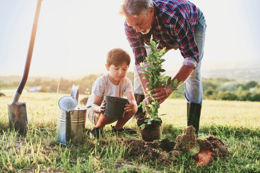 10 ways to garden more sustainably