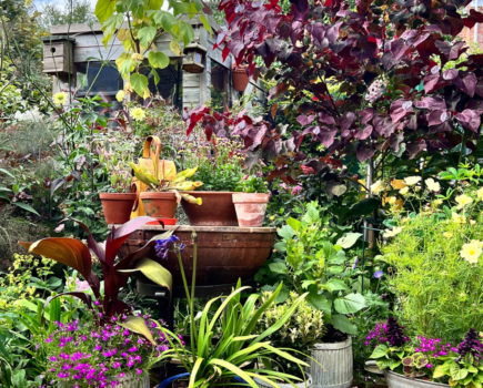 7 ways to make a smaller garden look BIG