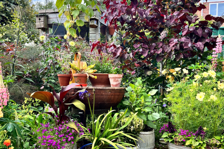 7 ways to make a smaller garden look BIG