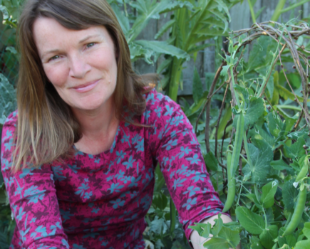 Perfect peas, sowing seeds and fan training fruit trees