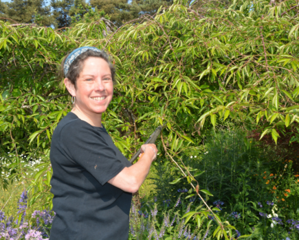 What to tackle during midsummer pruning