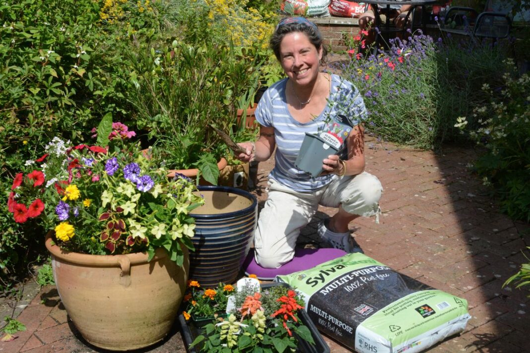 Planting a late summer container