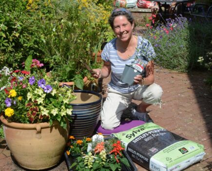 Planting a late summer container