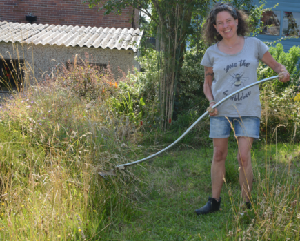 Looking after meadows and lawns