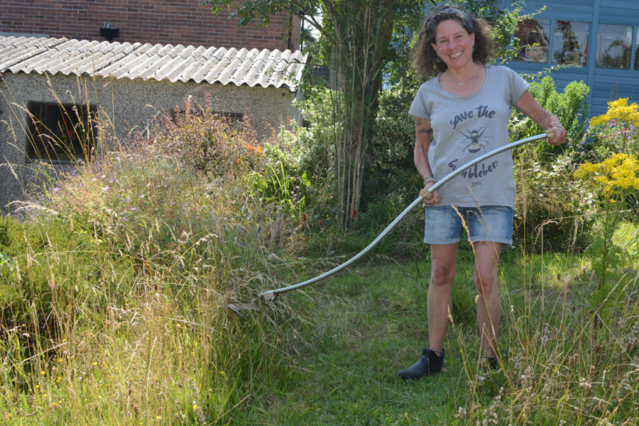 Looking after meadows and lawns