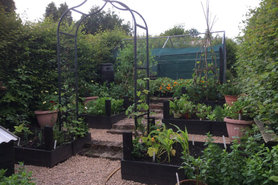 Planning a potager plot