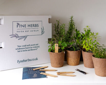 Bank holiday gardening gift ideas
