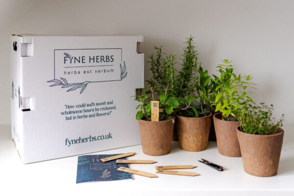 Bank holiday gardening gift ideas