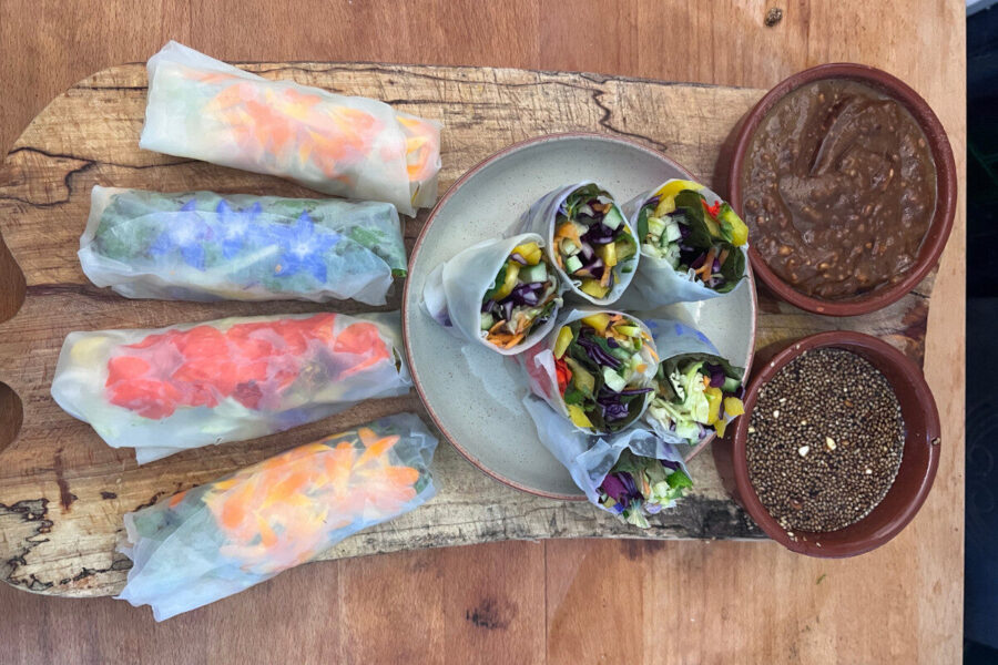 Joyful summer spring rolls
