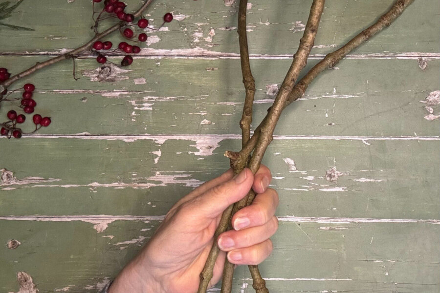 Make your own twig stars - Amateur Gardening