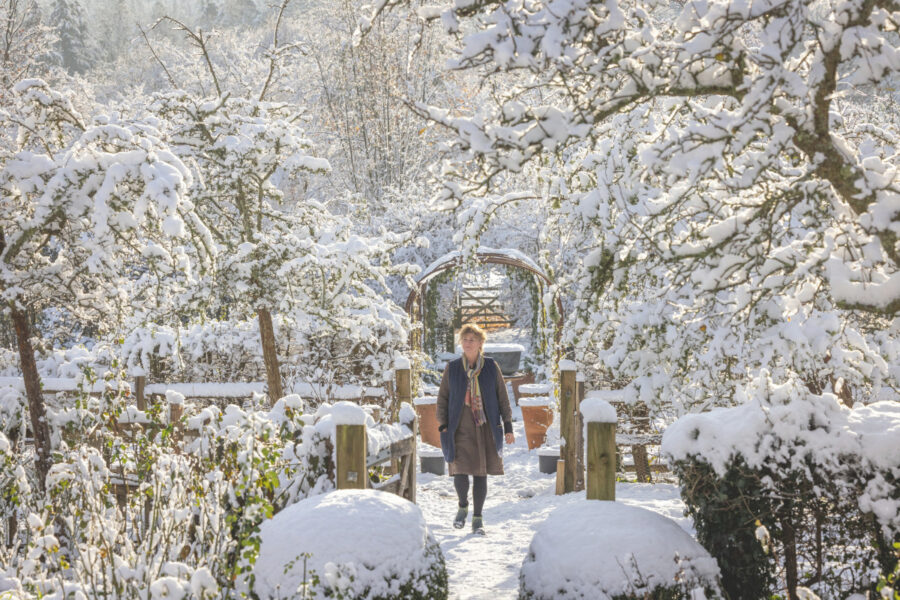 How to protect your garden this winter