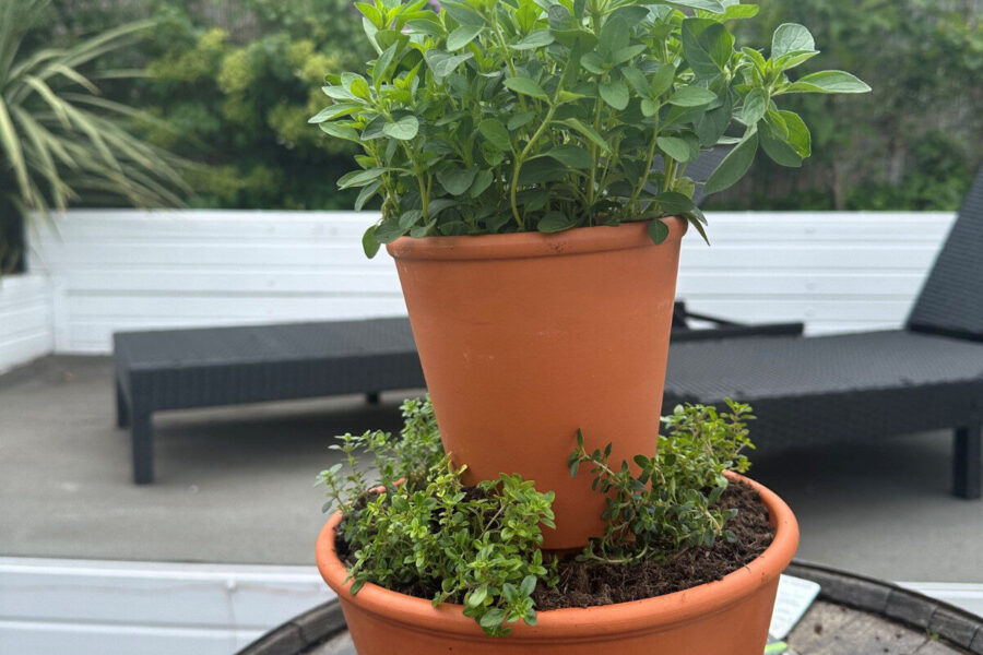 Make your own thrifty terracotta herb planter