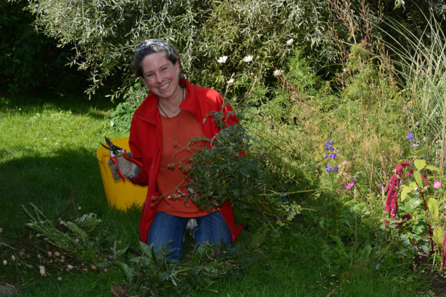 Garden hygiene and overwintering