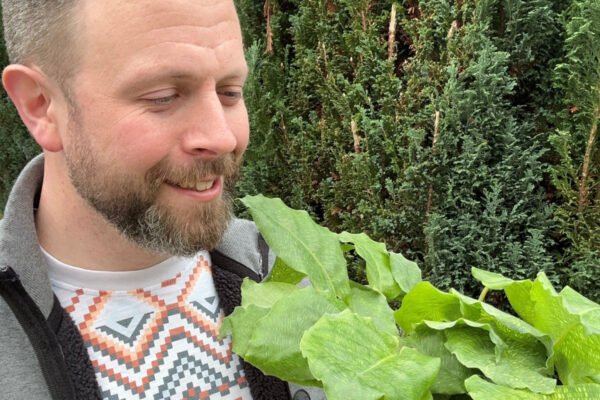 Happy Houseplant Picks