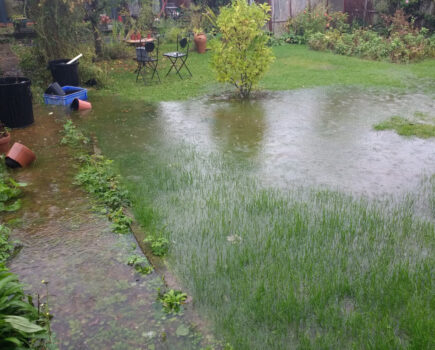 How to help flood proof your garden