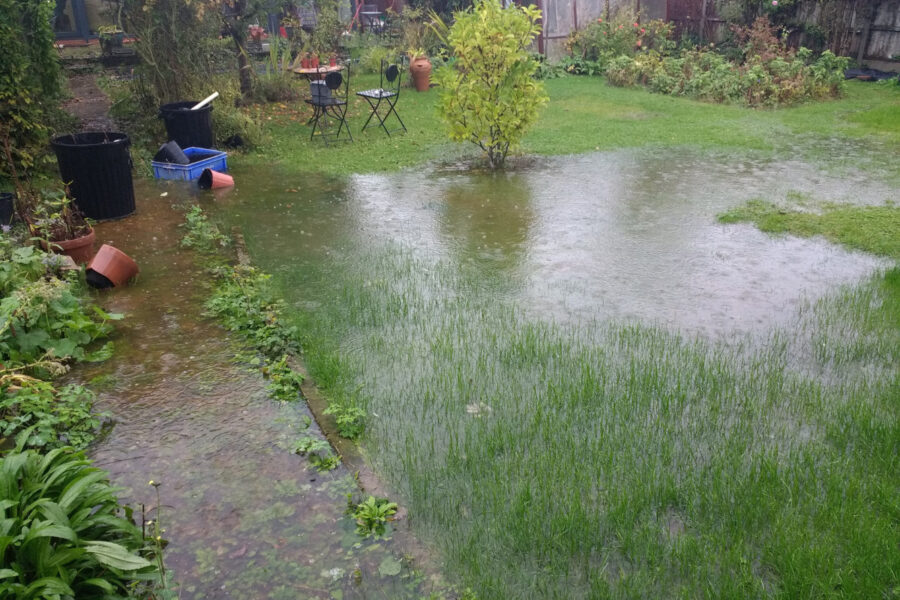 How to help flood proof your garden