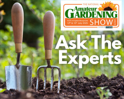 16:00: Ask the experts