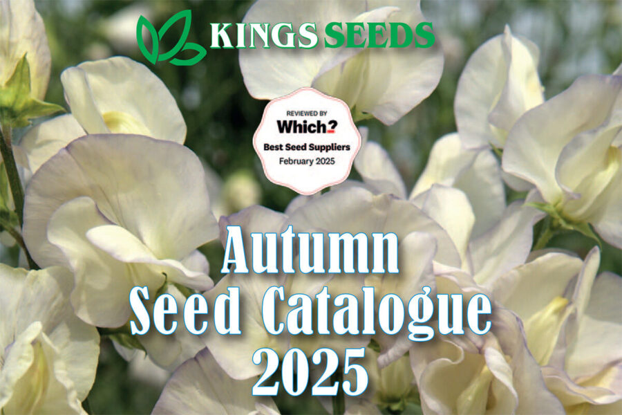 Read Kings Seeds brochure for free!