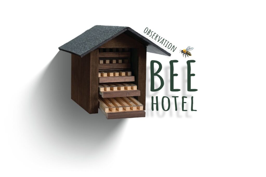 Bee Hotels